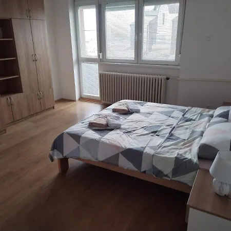 Apartament Downtown Penthouse